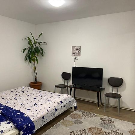 Ardelean Apartment 오라데아 외부 사진