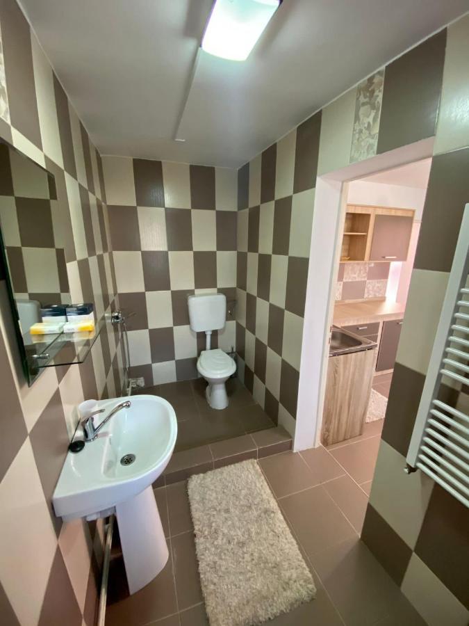 Ardelean Apartment 오라데아 외부 사진