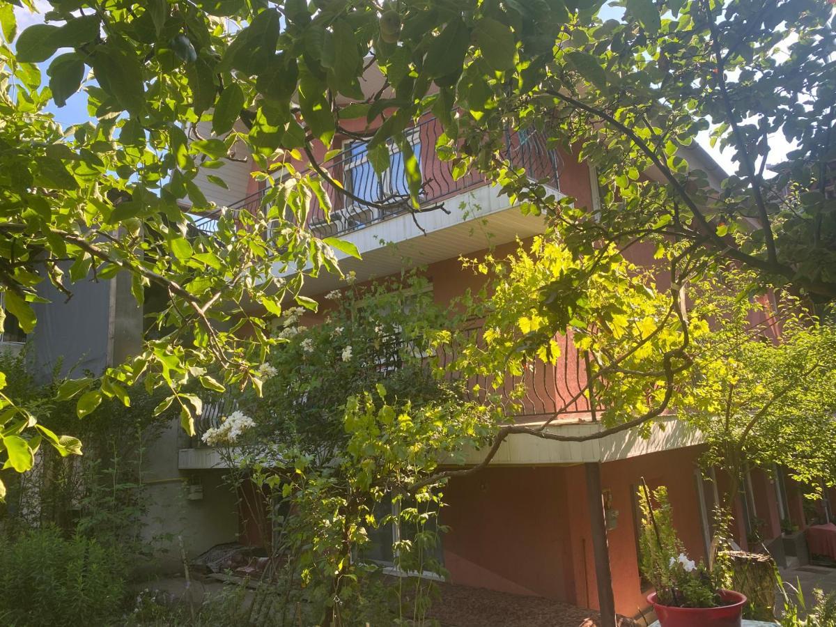 Ardelean Apartment 오라데아 외부 사진