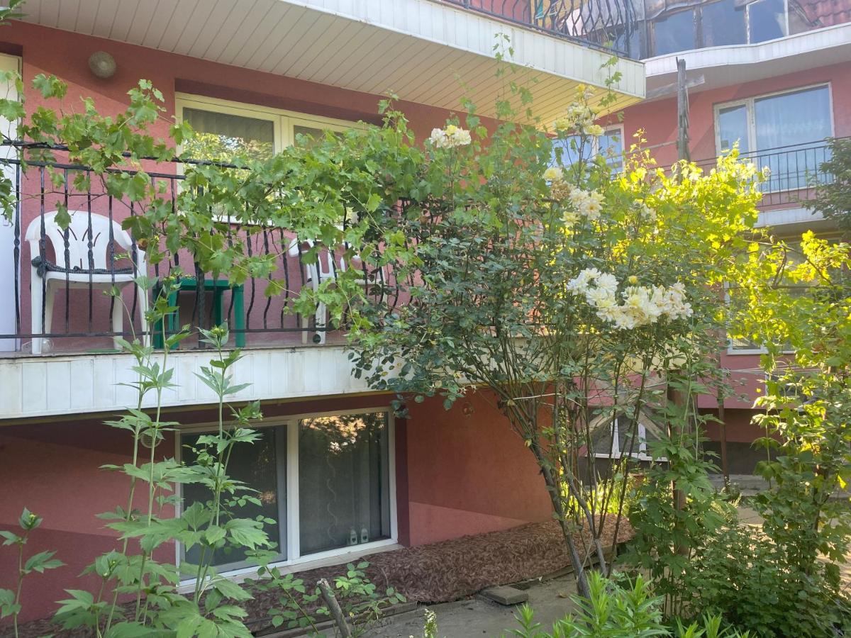 Ardelean Apartment 오라데아 외부 사진