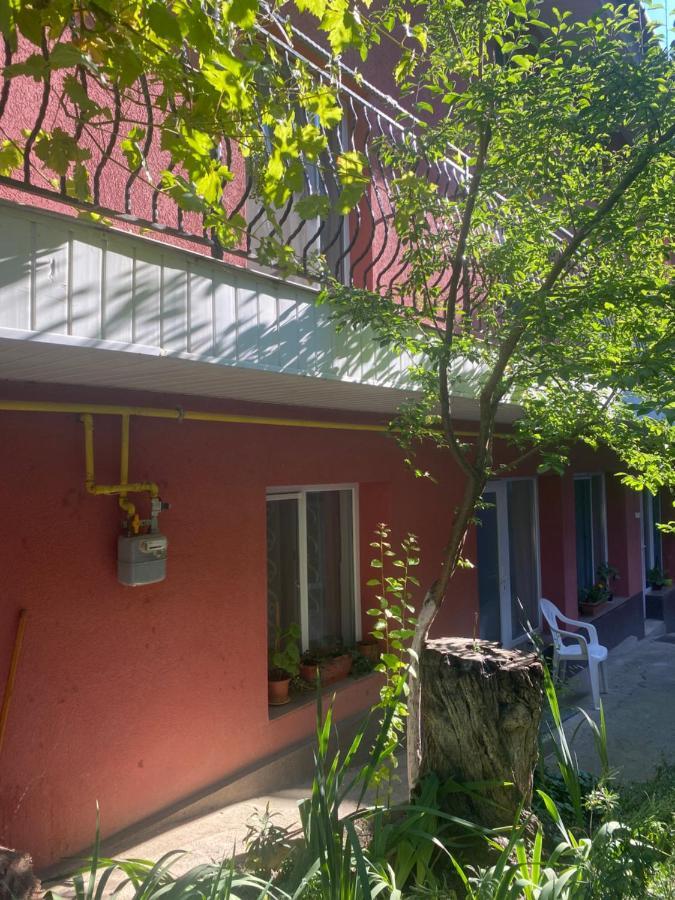 Ardelean Apartment 오라데아 외부 사진