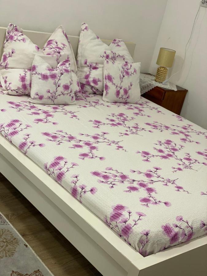 Ardelean Apartment 오라데아 외부 사진