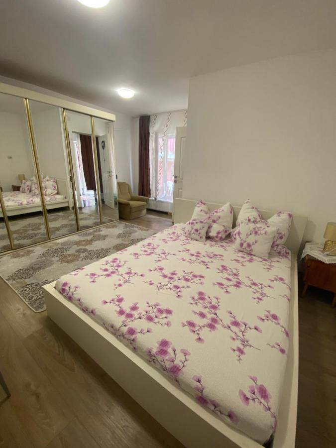 Ardelean Apartment 오라데아 외부 사진