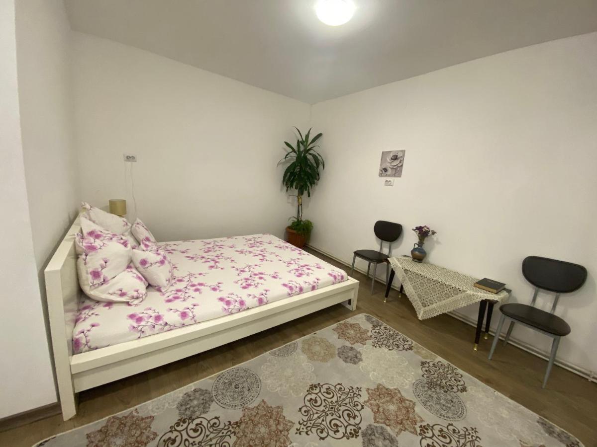 Ardelean Apartment 오라데아 외부 사진